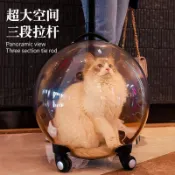 🔥優選🔥貓包外出便攜寵物拉桿箱貓咪透明太空艙狗狗背包貓籠子行李箱推車