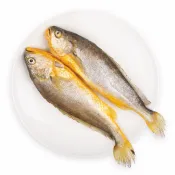 紅毛港海鮮市集 東海 黃魚燒烤 蔥燒 三去 真空包裝  啤酒伴侶