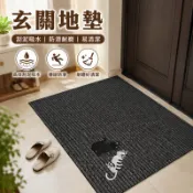 隔日到貨 玄關地墊 入戶門地墊 吸水地墊 防滑地墊 門口刮泥地墊 門口地墊 室外地墊 腳踏墊 門墊 可水洗 大門地墊