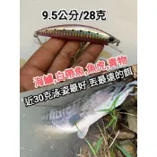 神人越 沉水米諾 拋投距離佳 白帶魚 假餌路亞lure 牛港飛扁湯匙亮片軟蟲鉛頭鈎岸拋鐵板小魔獸vib顫泳小胖子波爬波趴