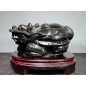 【阿一藝品】天然銀沙黑曜【巨大龍龜】聚財 招財 鎮宅 風水 開運 黑曜 彩曜 銀曜 龍龜 蟾蜍 豼貅 T81