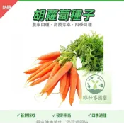 現貨速發【迷你胡蘿蔔種子】黃衚蘿蔔小蜜丸白蘿蔔七彩蘿蔔紫鴛鴦蘿蔔 手指衚蘿蔔種子有機迷你衚蘿蔔種籽嫩脆