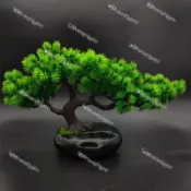 台灣現貨 松樹種子（100粒）四季種植 盆栽松樹種子 大阪松 五葉松 那須五葉松 多款松樹種子 多年生