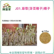 J01.苜蓿芽種子15克(約5500顆)(芽菜種子)芽菜類種子【綠藝家】