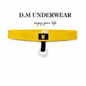 ✔️D.M ✔️低腰性感提型 屌環內褲 矽膠屌環套 誘惑丁字褲男 性感內褲男 情趣內褲 男同志 GAY 禮物 提睪內褲