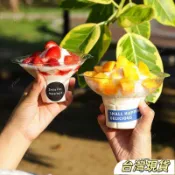可開發票統編創意甜品花瓣碗網紅綿綿冰碗一次性商用雪花冰杯冰淇淋甜品碗刨冰杯雪花冰碗綿綿冰杯甜品杯刨冰碗