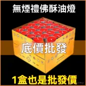 🔥台南出貨🔥天然酥油燈 4小時 全素 供佛蠟燭 無煙蠟燭 天然酥油蠟燭 植物酥油 天然無煙酥油燈粒 酥油粒 光明燈