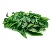 Fresh Curry Leaves 咖哩葉 20gm [Rmart]
