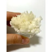小精品 💛 黃紋石 貴州 精緻 細閃 原礦 礦物 晶花 小炸花 螢光礦物 紋石 黃文石