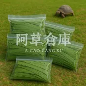 新鮮牧草🥬  天然牧草 兔子 鼠 牛 羊 水豚 草食動物的最愛 新鮮牧草 狼尾草 苜蓿草 百慕達 甜燕麥 提摩西 果園草