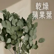 乾燥蘋果葉 乾燥花 星辰花 麥穗 兔尾草 情人草 向日葵 勿忘我 綜合 不凋花 永生花 卡斯比亞 滿天星 插花花材 花束