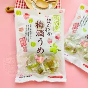 (店+)日本 野澤梅酒梅子 200g(日本梅子 野澤 梅酒梅 日本進口)
