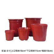 塑膠紅盆  - 6寸
