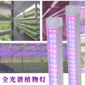 東升精品館 全光譜 T8植物燈管 生長燈 花卉燈 溫室多肉補光燈 生長燈條 燈管 植物培養燈 紅藍燈