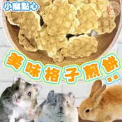 單個 小動物點心 美味格子煎餅 磨牙零食 倉鼠零食 黃金鼠零食 老鼠零食 倉鼠 黃金鼠 布丁鼠 三線鼠 天竺鼠 松鼠點心