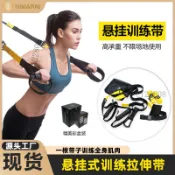 【台灣出貨】TRX懸掛式訓練帶 家用健身拉力帶 拉力繩 阻力帶 懸吊訓練系統 懸掛訓練繩 健身彈力帶 台灣製 居家訓練器