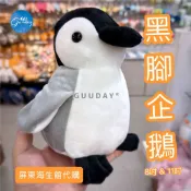 黑腳企鵝 娃娃 8-11吋 屏東海生館 XPARK 紀念品 大小企鵝 企鵝玩偶 企鵝玩具 企鵝娃娃 可愛的東西 生日禮物
