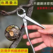 台灣出貨🚚 園藝工具 園藝剪 球結剪 盆栽剪 盆景工具 剪刀 全鋼 白鐵 不銹鋼 鉗枝剪 斜口鉗 叉枝剪 球節剪 斜球鉗