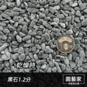 【園藝家景觀】小黑石 1.2分 20公斤 免運費 天然小黑石 洗石子 水族小石頭  抿石子 多肉盆栽石