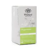 【Whittard】日安薄荷茶-20入茶包