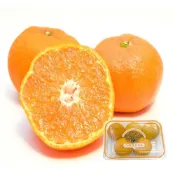 (店+)【果之蔬】日本佐賀縣無籽蜜柑4-6入(350G/盒)
