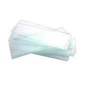 顯微鏡載玻片 觀察玻片 玻璃標本片 生物載玻片 實驗玻片 165-GP7101(切片載玻片 顯微切片 玻璃板)