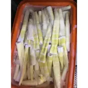 轎篙筍 石篙筍 600公克850克批發零售 客製化