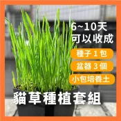 貓草組合盒｜一次三杯的份量｜簡單好種 貓草｜貓咪零食｜小麥草種子｜貓草種子｜快速發芽｜一週可食用｜多次採收｜健康好纖維