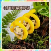 ★爬蟲新樂園★[台灣現貨]3D列印彈簧爬架 3D列印爬蟲攀爬球 PETG材質 安全無害 可供爬寵攀爬 玩耍 休憩 守宮