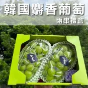 水果狼 韓國麝香葡萄 2串禮盒(700g/串)
