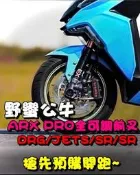 ◎熱血沸騰◎ 野蠻公牛 ARXPRO前叉 黃金內管 一體式下座 DRG JETS SR SL 