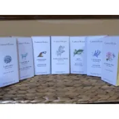 美國代購🇺🇸Crabtree & Evelyn  瑰柏翠 薰衣草 園藝大師 春回大地 噴泉 經典款護手霜 100g