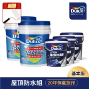 Dulux 得利塗料 A959 得利倍剋漏屋頂防水漆 基本版20坪套組