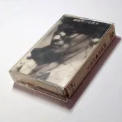 【雲雀影音】劉德華 忘情水｜飛碟唱片 1994｜絶版珍藏卡帶 錄音帶（YS1406）