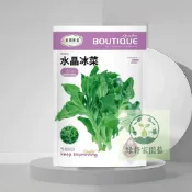 現貨【原包裝水晶冰菜種子】四季種植 冰冰爽爽入口即化 四季蘇菜種子 高鈣蔬菜種子