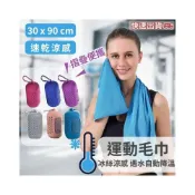 (店+)台灣現貨 冰絲運動毛巾 30*90cm  涼感 矽膠收納 便攜 好攜帶 小體積 戶外健身 運動 冰涼巾 速乾