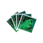 (店+)【路得提琴】德國Pirastro Evah Pirazzi綠美人小提琴弦套裝 金E弦套弦 4/4
