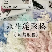 『花藝夢』全色系現貨✅️ 永生蓬萊松《原裝販售》 壽松 蓬萊松 乾燥花 永生花 不凋花 乾燥花材