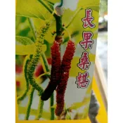 ★綠霖園藝★長果桑椹果 苗高度約50公分 水果樹苗/新興果樹/果苗/嫁接/植物/盆栽