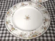 古瓷堂日本回流瓷器 Noritake 金標 則武神燈數字編 正品日瓷 中古餐盤 西餐盤 賞盤 高骨瓷 暖光浮雕碎花 稀有版 21cm