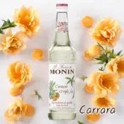 【歐亞糖漿果露調研所】橘皮糖漿  Monin 果露 700ml