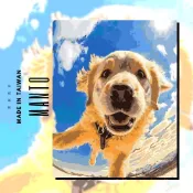 Manto【台灣製造】有釘好內框數字油畫｜飛翔汪星人