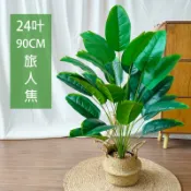 90公分旅人蕉😇蝦皮超優惠😇超美旅人蕉😇仿真綠植 旅人蕉 熱帶植物 芭蕉樹 客廳落地植物 假樹 假植物 北歐風 盆景假樹