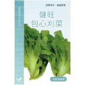 (店+)【天橙種子】健旺包心刈菜種子 芥菜 約5公克 全年可播種 葉菜類種子 興農種苗 家庭園藝 彩色原包裝