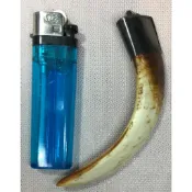 H423 山豬牙墜飾(天然真品)