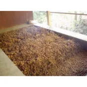 2026 烘焙 土窯柴燒 龍眼乾 東山名物600g賣場