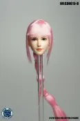 SUPER DUCK 1/6兵人美女頭雕 SDH015 白膚色B 四款頭雕實物拍攝+店鋪關註