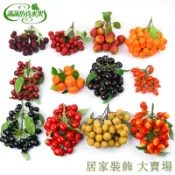 滿299出貨 假水果模型 假水果 仿真水果 假蔬果 假蔬菜 仿真水果串假荔枝龍眼番茄櫻桃楊梅沙糖桔模型裝飾圣女果道具桂圓