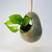 禪意彩釉吊掛花器｜蛋型蕨類 空氣鳳梨 綠蘿 常春藤吊盆｜茶席禪風花盆
