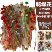 ALL SPLENDID 【A-ONE】乾燥花素材 永生富貴豆 3色混搭 永生花 材料包 DIY 浮游花 蠟燭材料 繡球花 苔癬 千日紅 A25